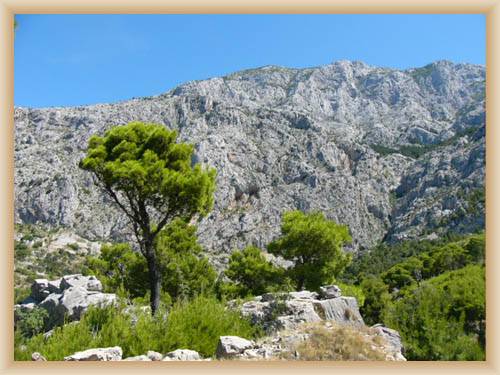 Biokovo nad Makarskou
