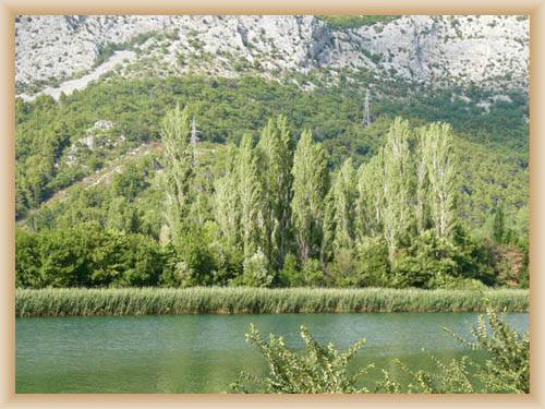 �eka Cetina