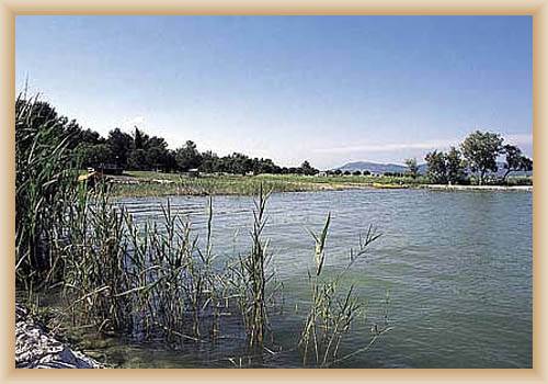 Vransko jezero