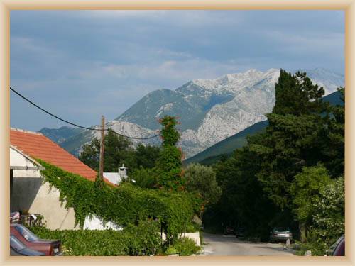 P��rodn� park Biokovo - Vesni�ka Ku�ice