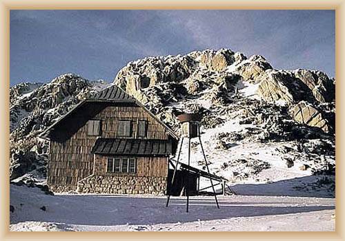 NP Risnjak