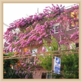 Apartm�ny ZORKA
