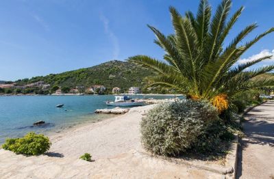 Alebic Apartmány*** - Marina