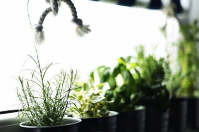 Apartmány Ankora Mandre