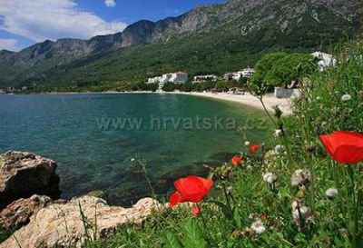 Apartmány Ante Podaca