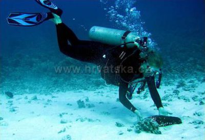 Apartmány VILA BOŽICA