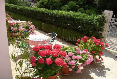 Apartmány VILA BOŽICA