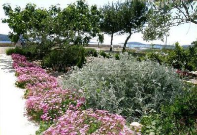 Apartmány Plaža