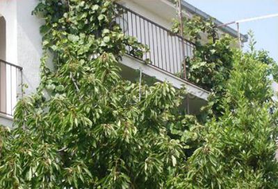 Apartmány PRIŽMIĆ