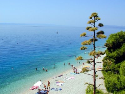 Apartmány Brajković