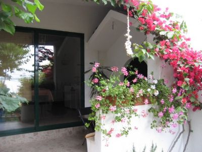 Apartmány Brajković