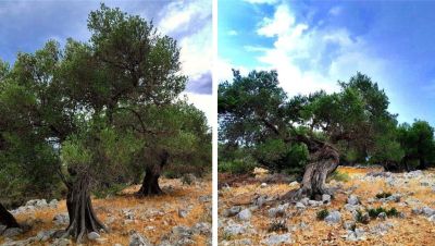 Apartmány Jasna Lun