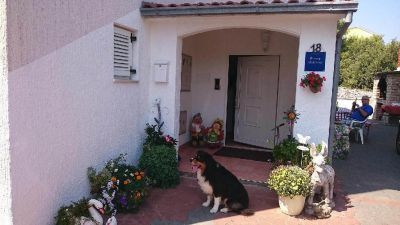 Apartmánový dům Ivana