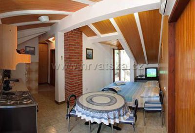 Apartmán Bižaca***