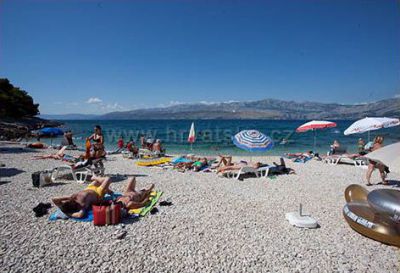 Apartmán Bižaca***