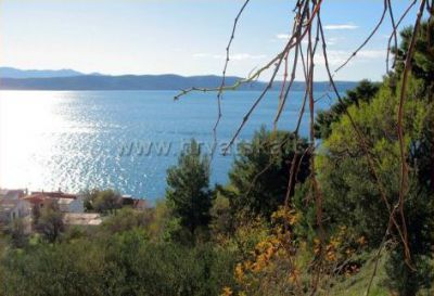 Restaurant - penzion Borovik