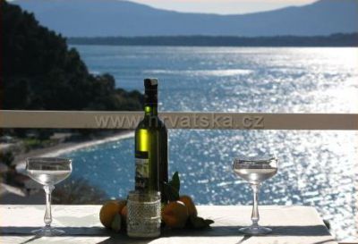 Restaurant - penzion Borovik