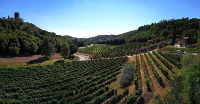 Rekreační dům Casa Matea v oáze zeleně