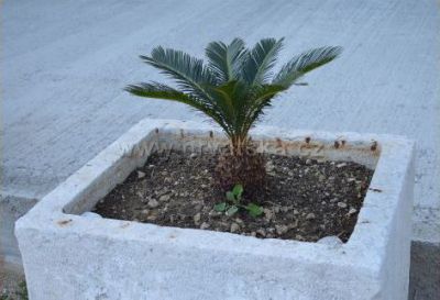 Apartmány Teo a Vedrana Cvitanović