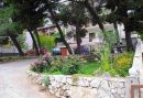 Apartmány DARIJA