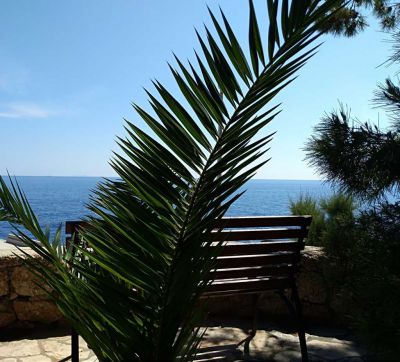 Vila IRMING v borovém lese u moře