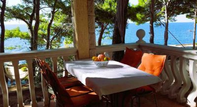 Vila IRMING v borovém lese u moře