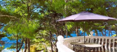 Vila IRMING v borovém lese u moře