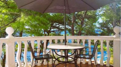 Vila IRMING v borovém lese u moře