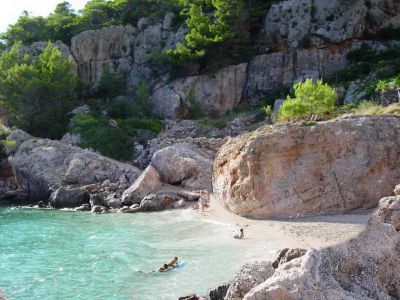 Vila IRMING v borovém lese u moře