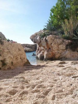 Vila IRMING v borovém lese u moře