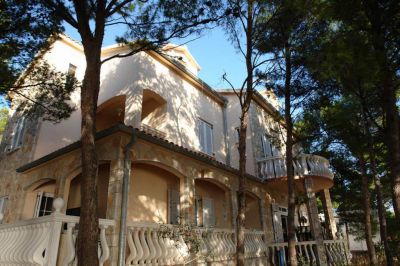 Vila IRMING v borovém lese u moře