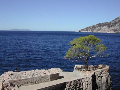 Vila IRMING v borovém lese u moře