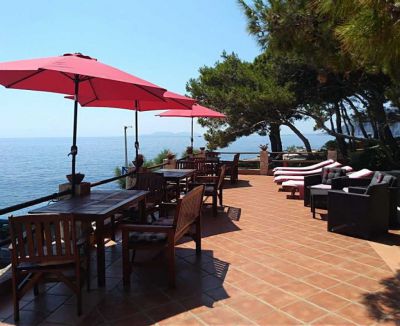 Vila IRMING v borovém lese u moře