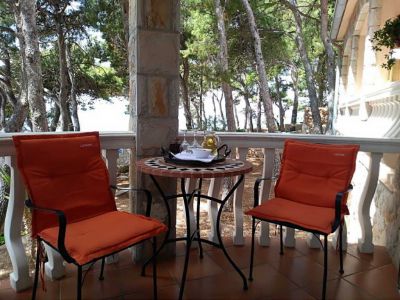 Vila IRMING v borovém lese u moře