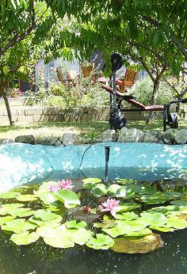 Beach Apartments Toni