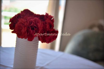 Apartmány Neda, Kanica