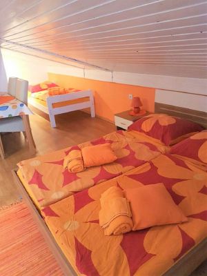 Apartmány Kivi Novigrad