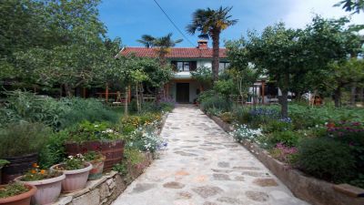 Apartmány Mato Lozić