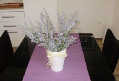 Apartmány Magaš a Iris