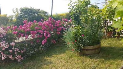 Apartmány Ivan Marušić