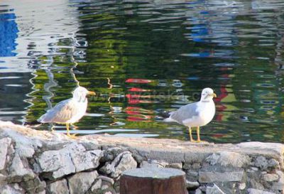 Rybářský dům Matijana