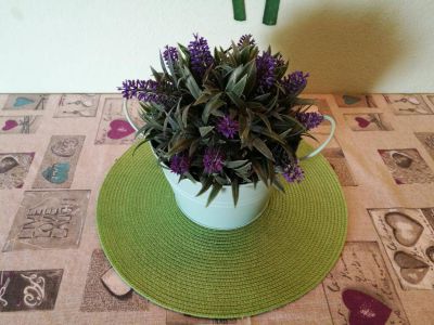 Apartmány Igralište Mirakul