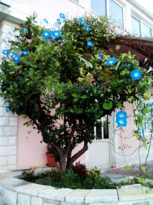 Apartmány Igralište Mirakul