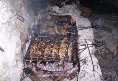 OLIVE GARDEN Apartmány