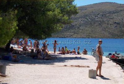 OLIVE GARDEN Apartmány