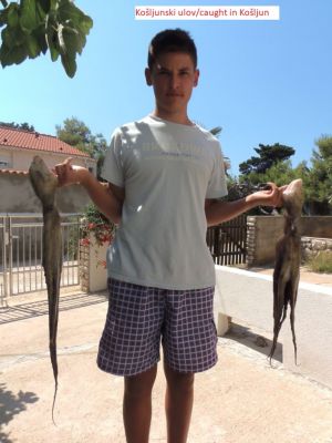 Apartmány PAVIČIĆ