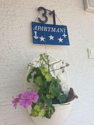 Radonic Tisno-Murter