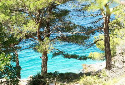 Robinson's house Relax & Adventure