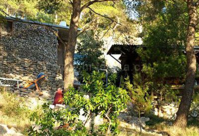 Robinson's house Relax & Adventure