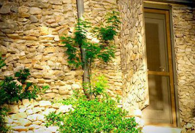 Robinson's house Relax & Adventure